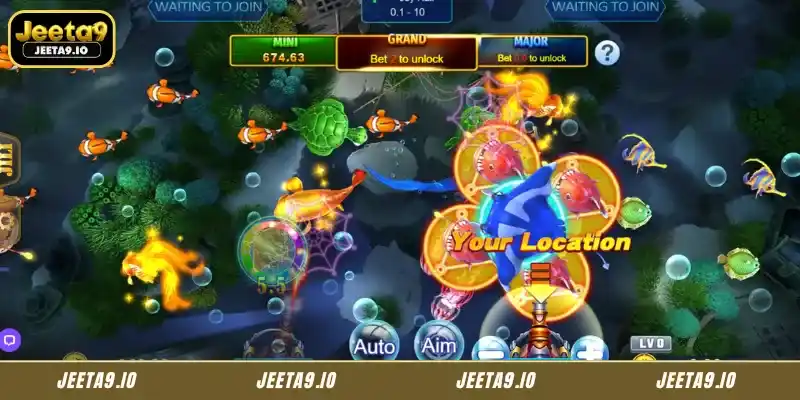 How to Play Royal Fishing at Jeeta9