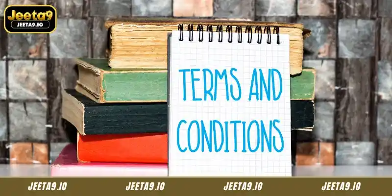 Key Provisions Within the Jeeta9 Terms and Conditions