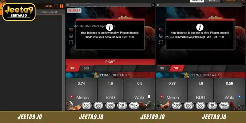 Reasons why you should choose Svenus Cockfight on Jeeta9