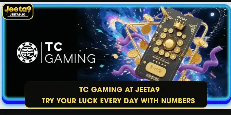 TC Gaming at Jeeta9 - Try your luck every day with numbers